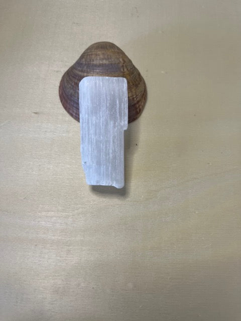 Pieza de Selenita Natural (Aprox. 5x3 cm) – Purificación y Limpieza de Cristales