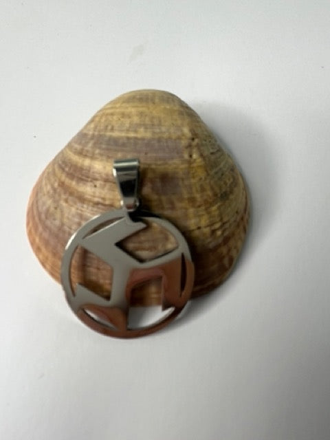 Colgante de Acero Inoxidable – Antahkarana (25 mm - Símbolo de Sanación)